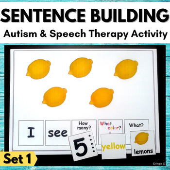 Build a Sentence by Angie S