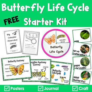 Butterfly Life Cycle Anchor Posters