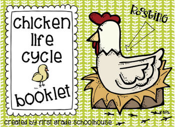 Chicken Life Cycle Booklet