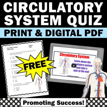  free circulatory body system lesson plans for kids