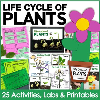 Life Cycle of Plants (20 Activities, Labs, Printables & Foldable Flower Book)