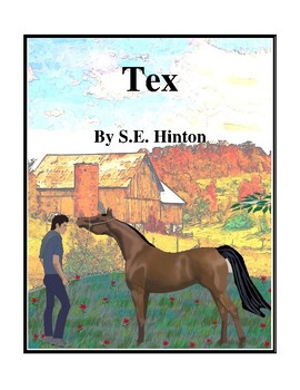 Book report on tex by s e hinton