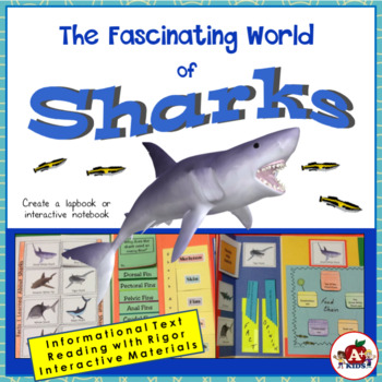Sharks An Interactive Lapbook