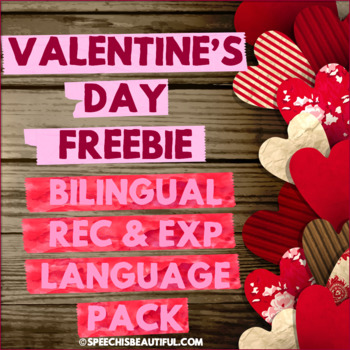 Bilingual Valentine's Day: Yes/No Questions -- Sample of R